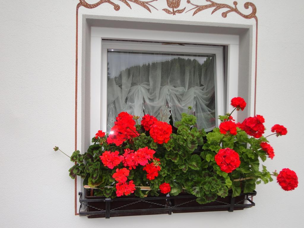 Bed and Breakfast Garni Crepaz Selva di Val Gardena Zewnętrze zdjęcie